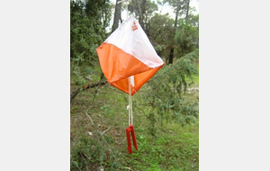 CHAMPIONNAT DEPARTEMENTAL DE COURSE D'ORIENTATION