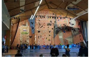 CHAMPIONNAT DEPARTEMENTAL D'ESCALADE